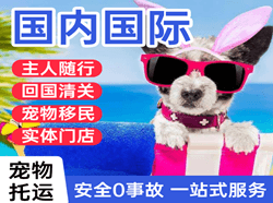 大理凤仪机场邮寄国际宠物托运 【国